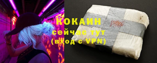 прущие крисы Абаза