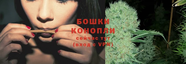 стафф Нефтегорск