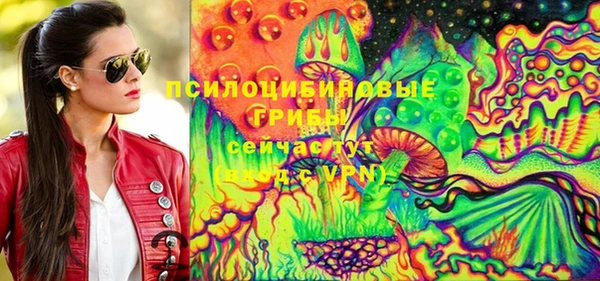 прущие крисы Абаза